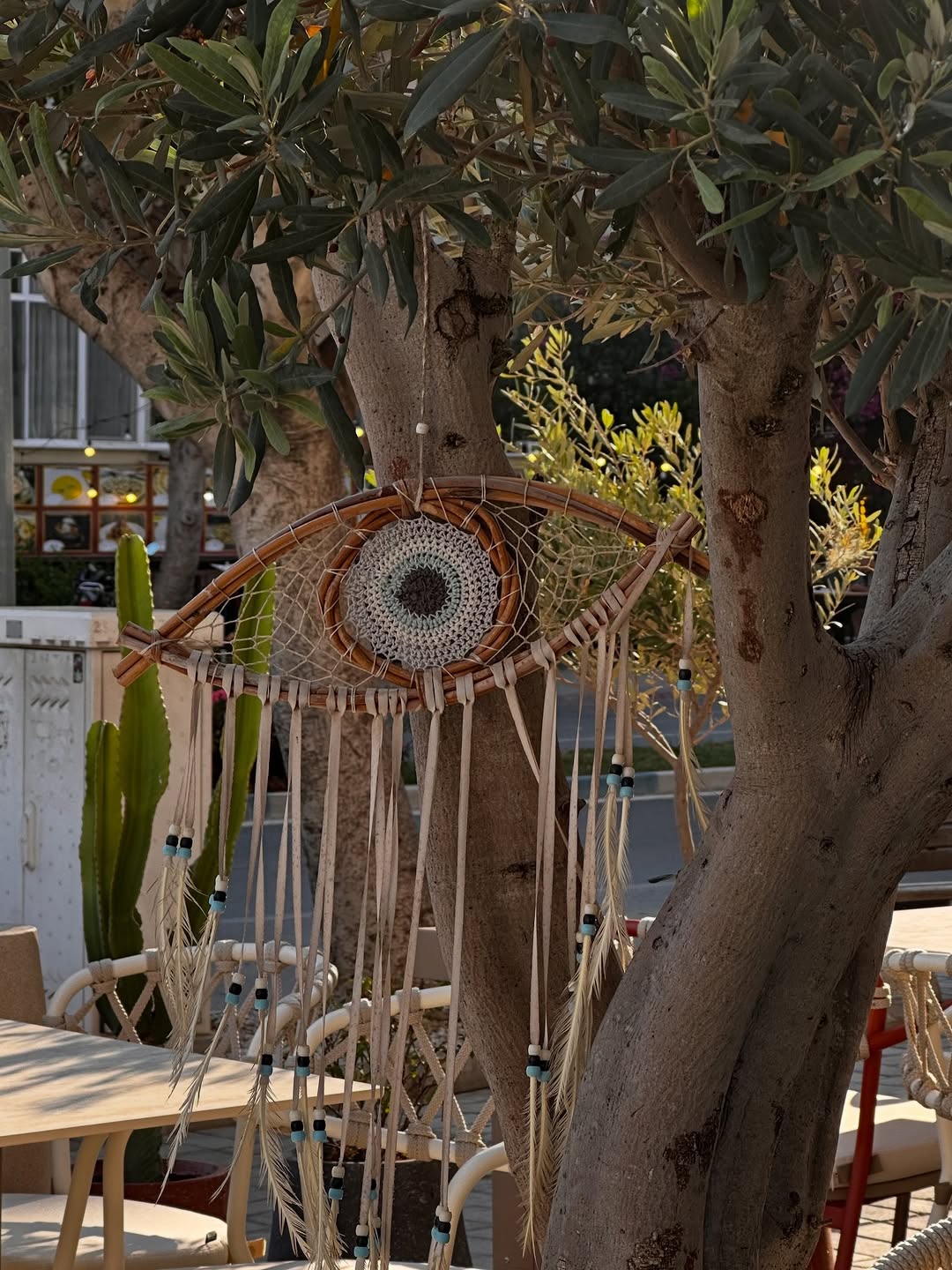 Evil-eye dreamcatcher in the olive tree
